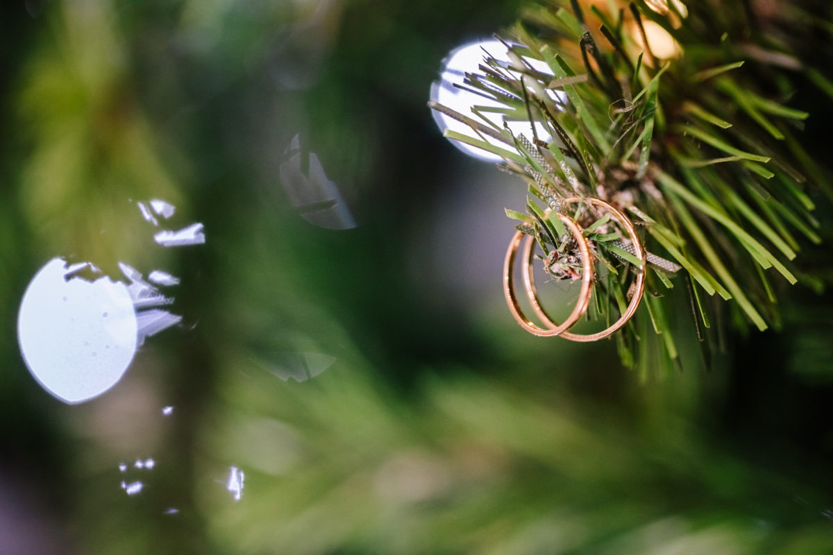 matrimonio invernale