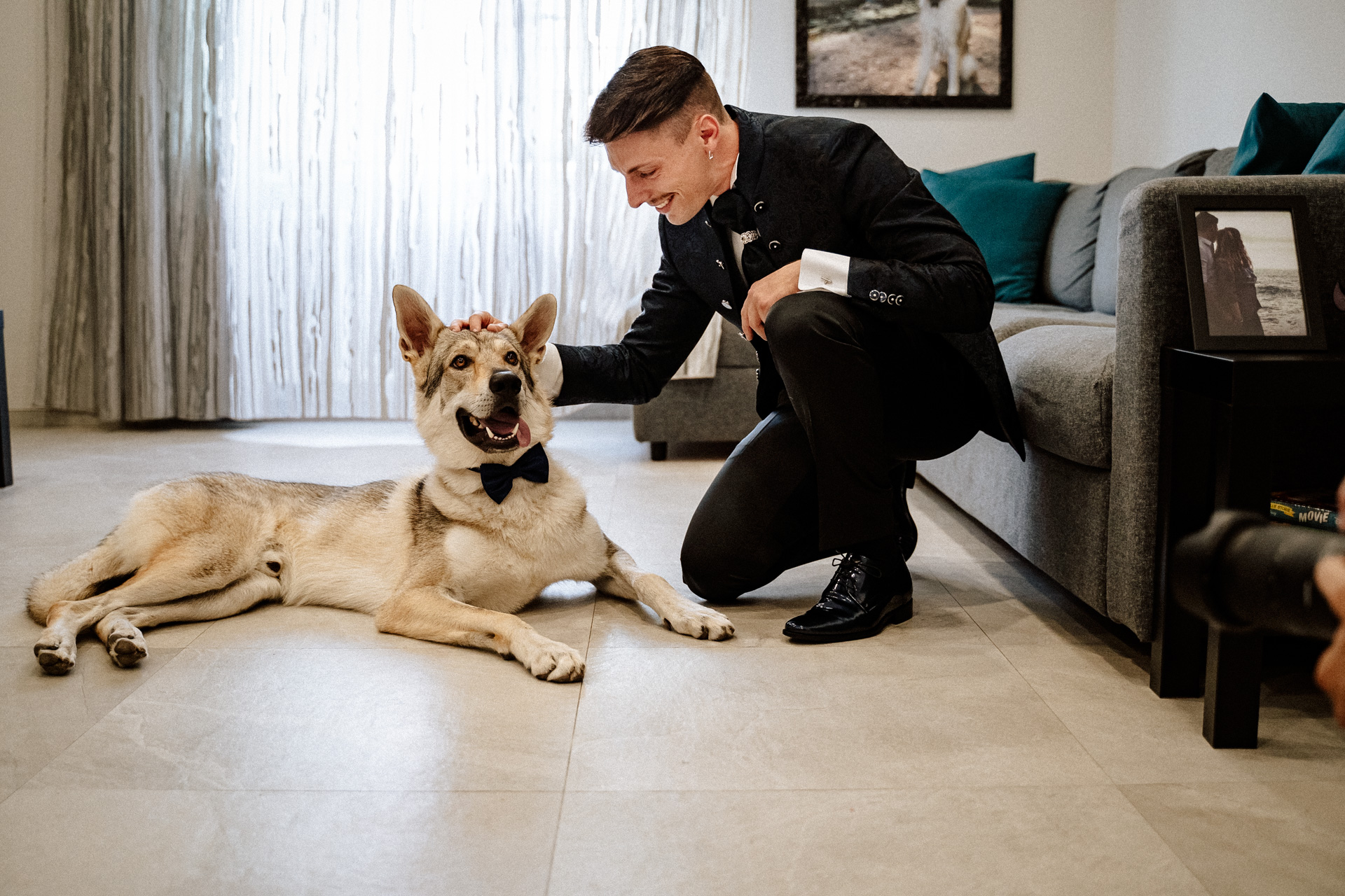 cane con papillon matrimonio