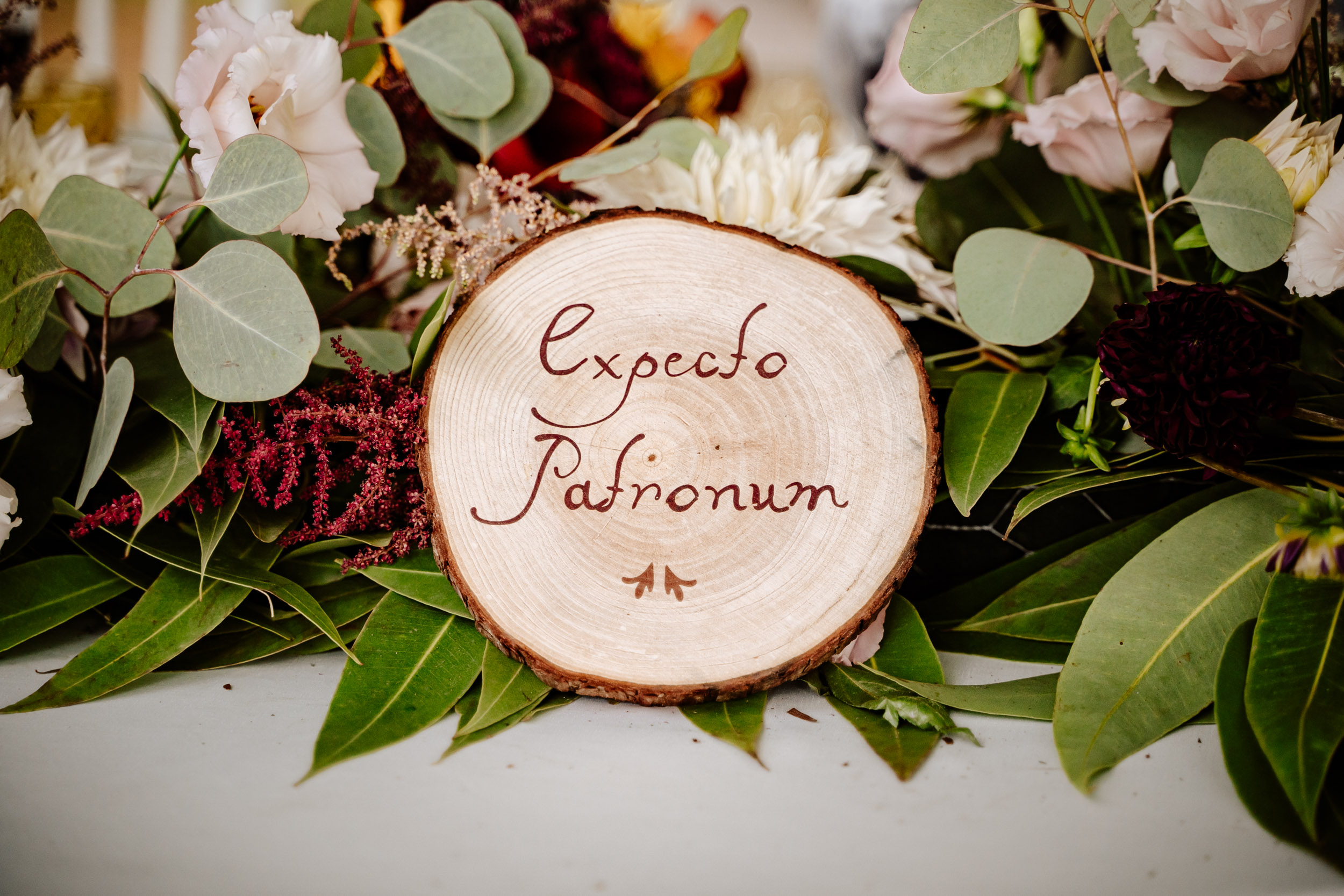 matrimonio villa livia harry potter
