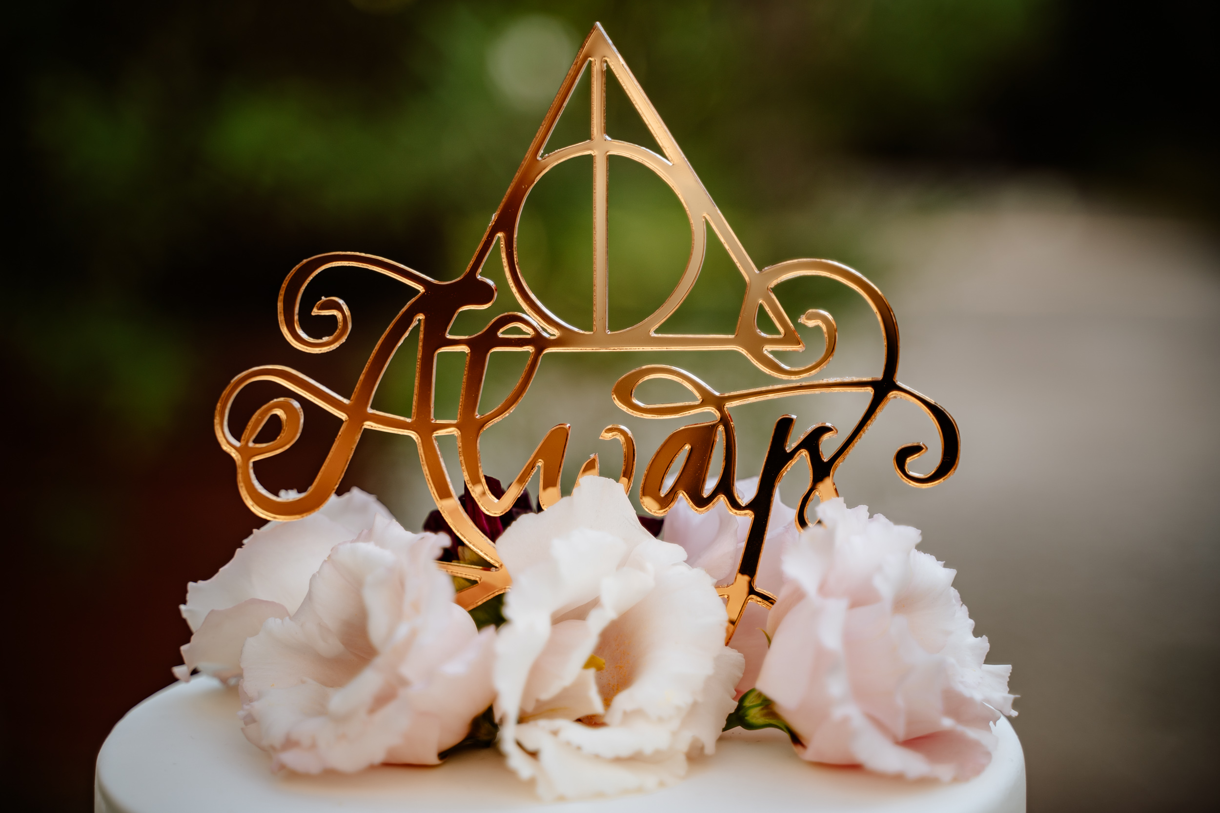 matrimonio villa livia harry potter